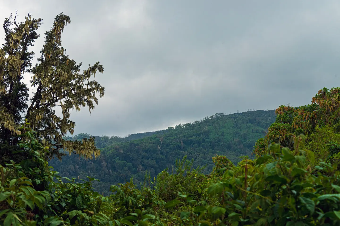 Naro Moru River valley landscape, shown as regional Mount Kenya context and not as the Gathiuru route line.