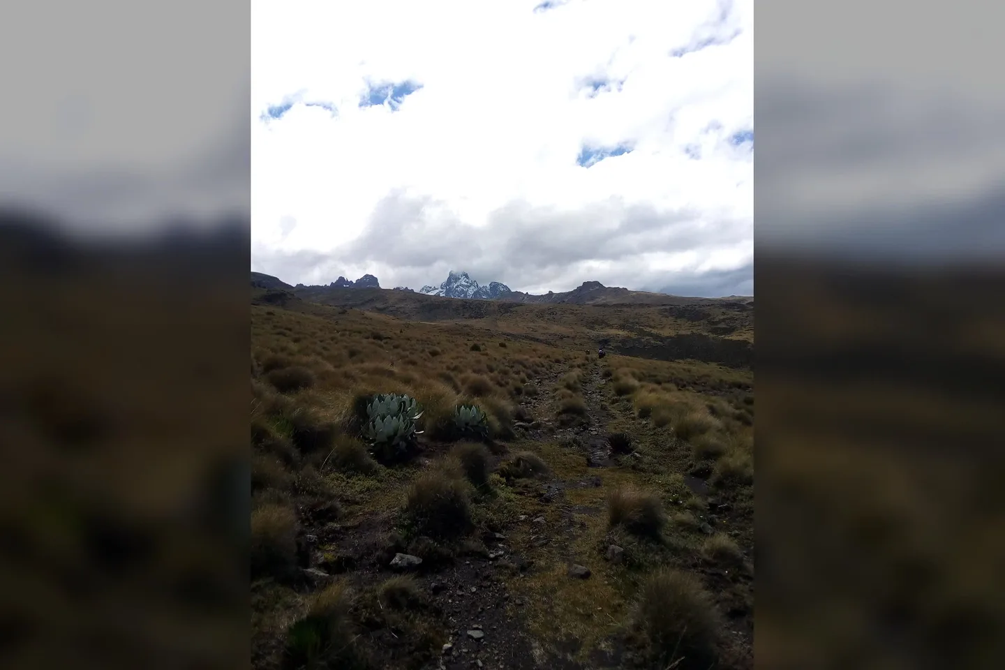 Commons explicitly identifies the Old Moses–Likii North Camp trail; it is trail context, not a live condition report.