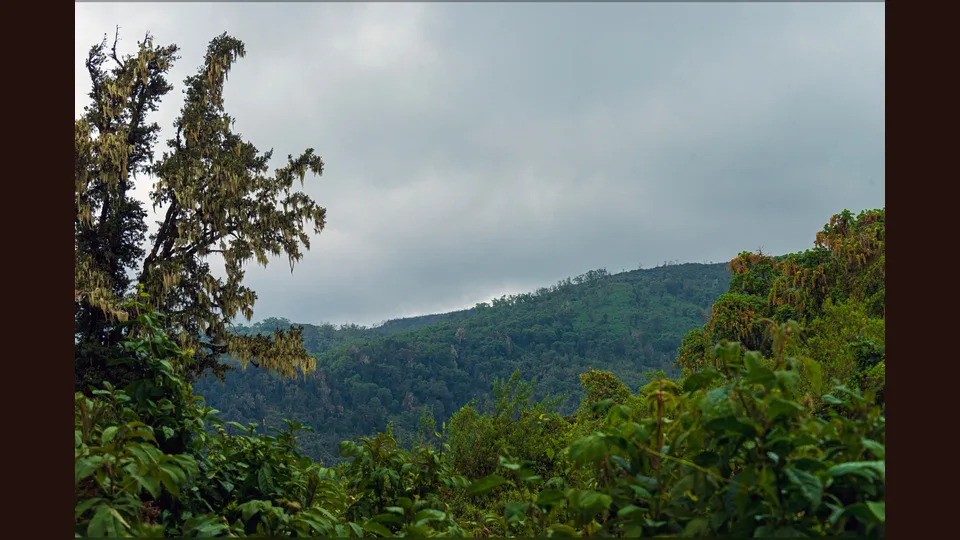 Commons explicitly locates this view on the Naro Moru River hiking trail.