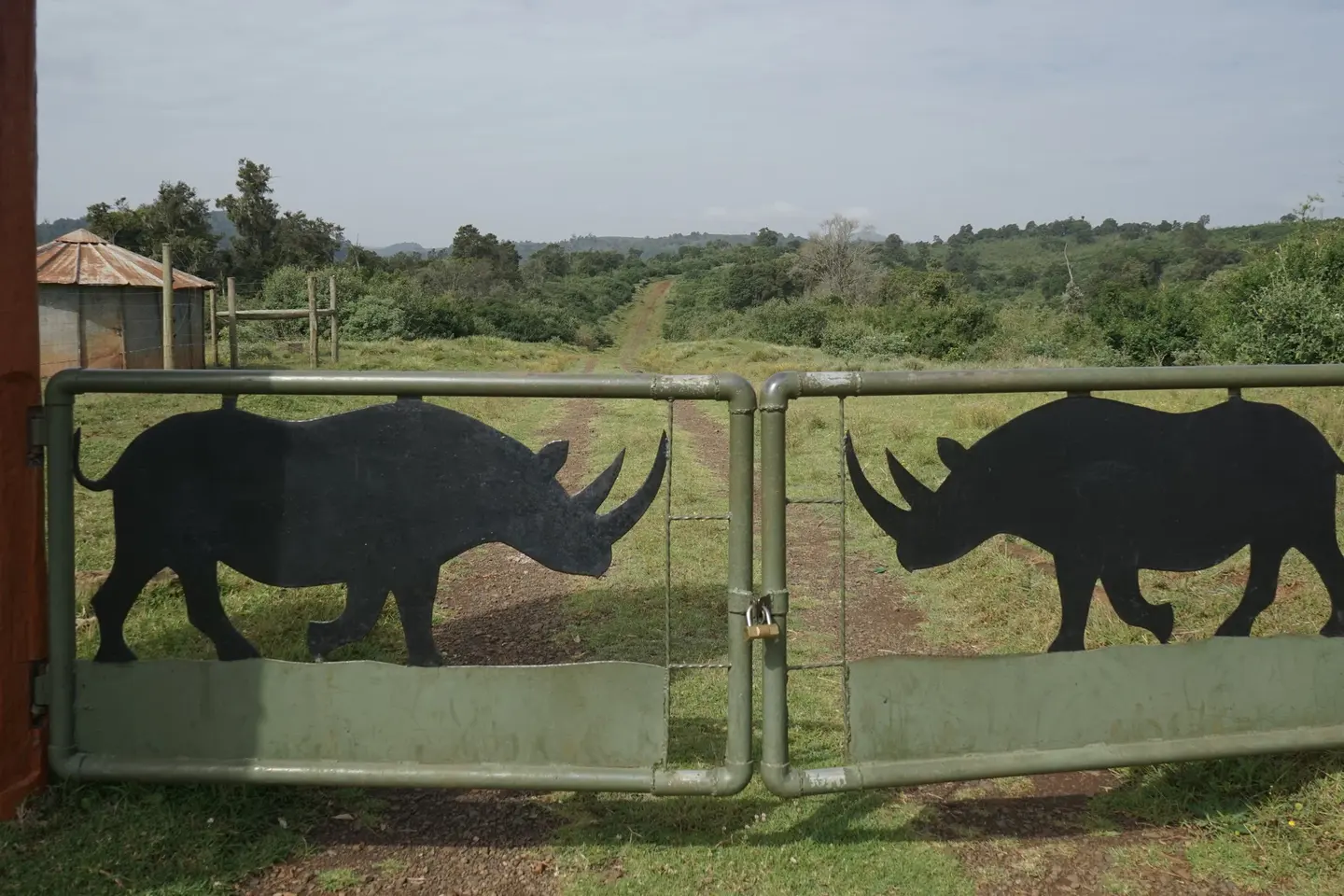 A rhinoceros-silhouette gate in Aberdare National Park, shown as regional access context and not as the Sapper route entrance.