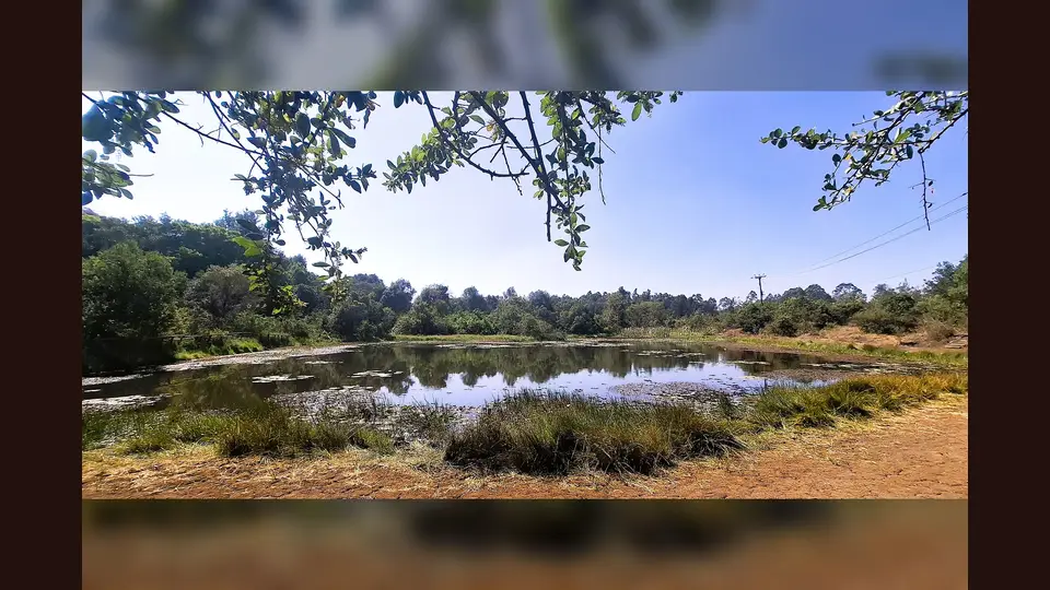 Commons explicitly identifies Lily Lake in Karura Forest; the exact trail alignment is not established.