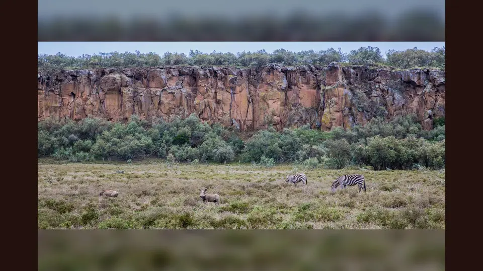 Commons locates this photograph in Hell's Gate National Park; it does not establish the exact Elsa–Ol Njorowa line.