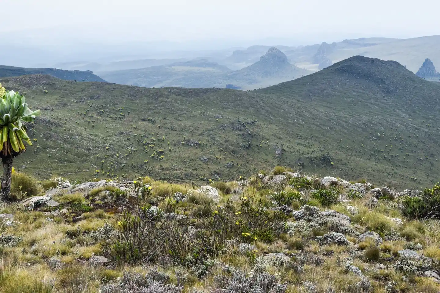 Open moorland and rocky ridges in Aberdare National Park, shown as regional terrain context and not as the Sapper track.