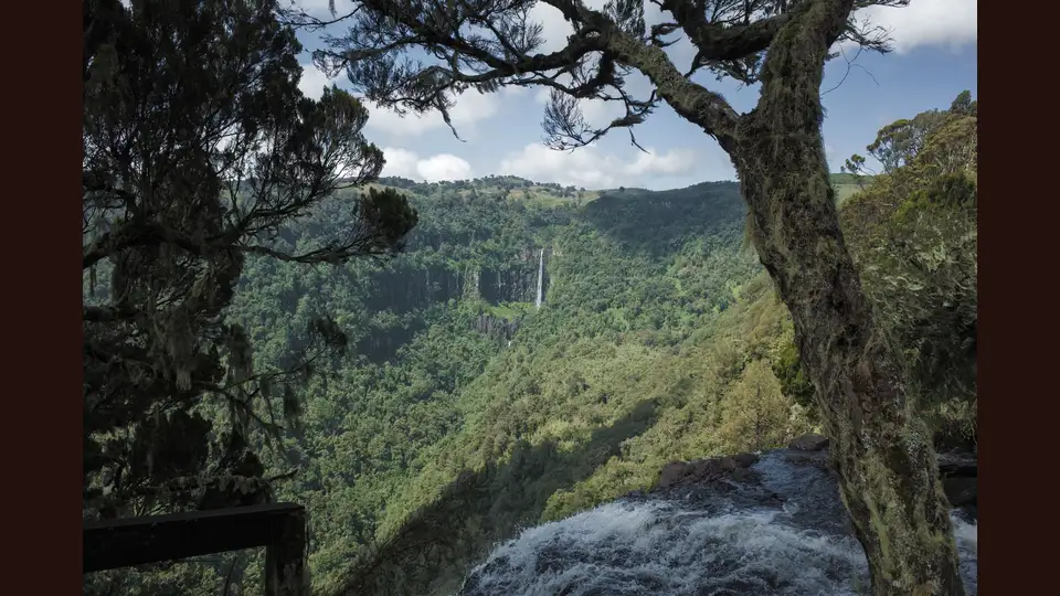 Forested Gura valley in Aberdare National Park, shown as regional context and not as the Karimu-Magura route line.